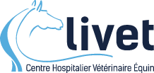 logo CHVE Livet