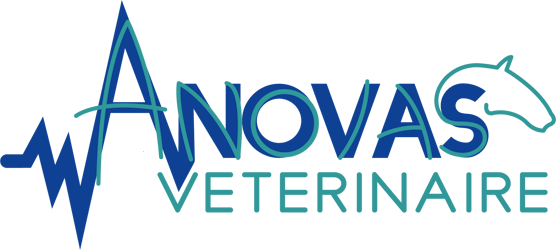 Logo-Anovas