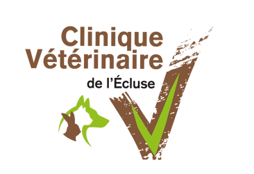 Clinique Vétérinaire de l’Ecluse