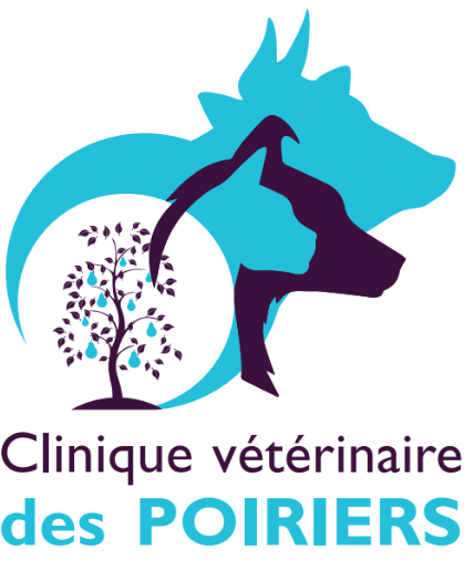 clinique vétérinaire des Poiriers