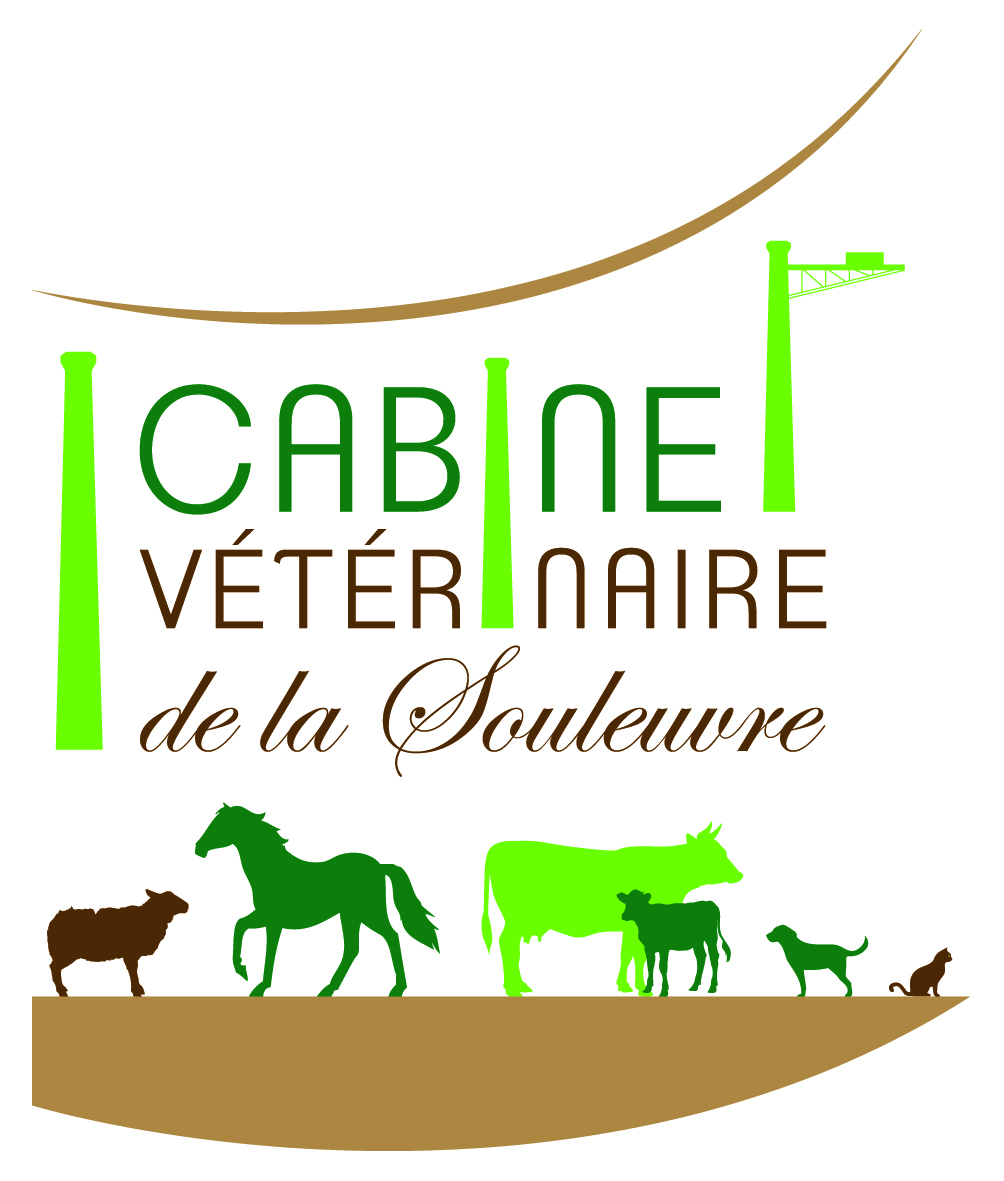 CAB. SOULEUVRE QUADRI